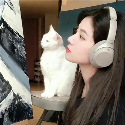 新上海滩